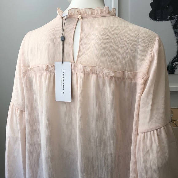 Carolina Belle Shear Blush Blouse Size Medium - Picture 5 of 6